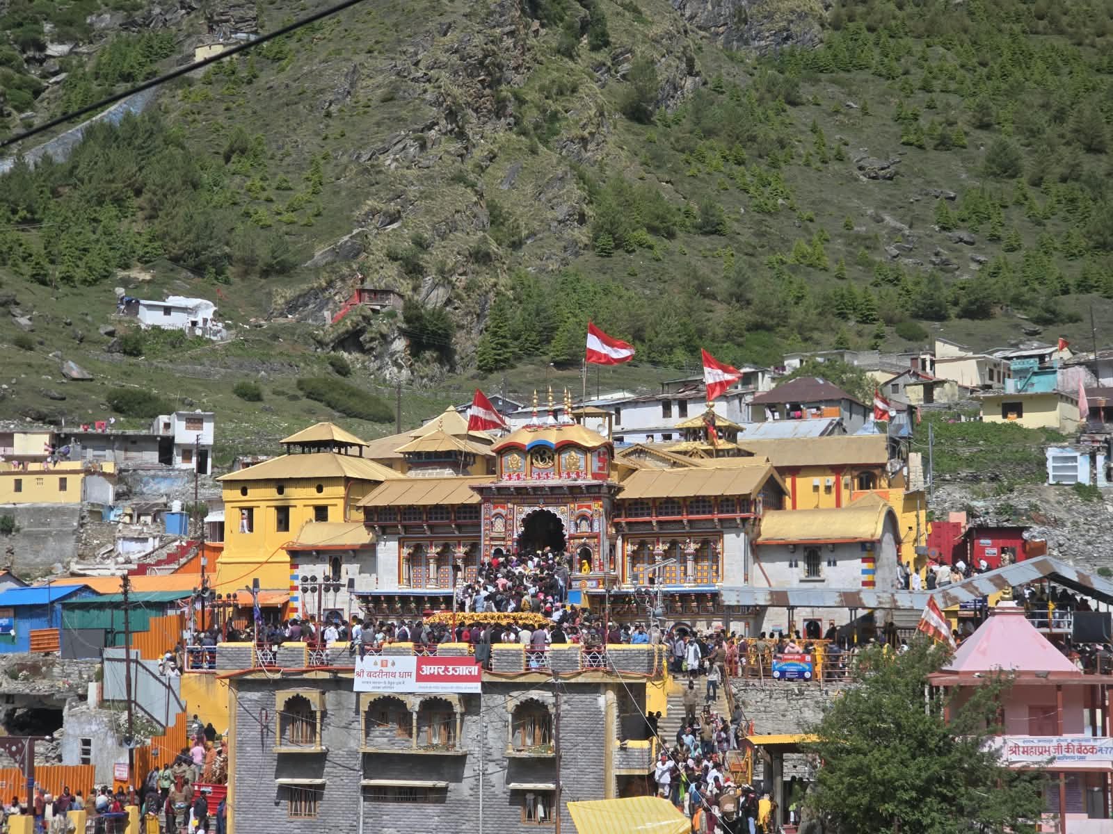 Badrinath dham darshan
